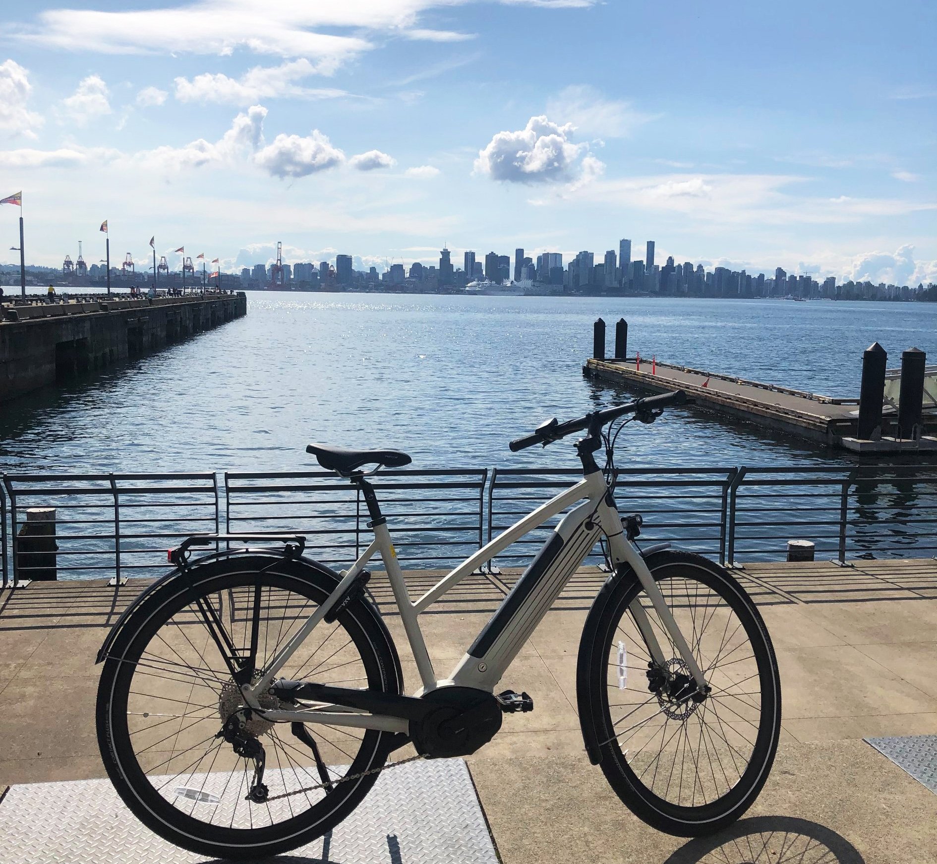 navy pier bike rental